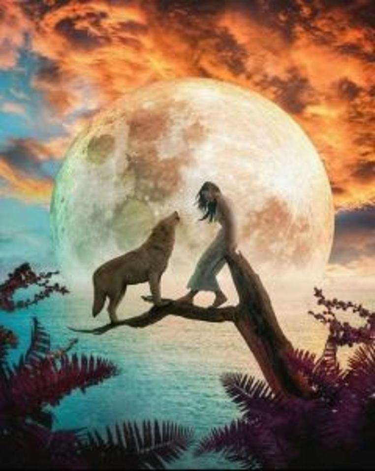 His Alpha Lover